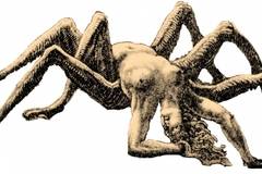 Представяме ви мистериозната 13-та зодия Паяк