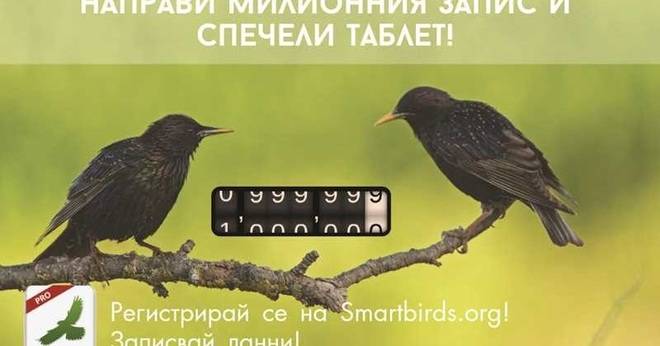 Конкурси всякакви: Спечелете таблет от SmartBirds Pro