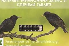 Конкурси всякакви: Спечелете таблет от SmartBirds Pro
