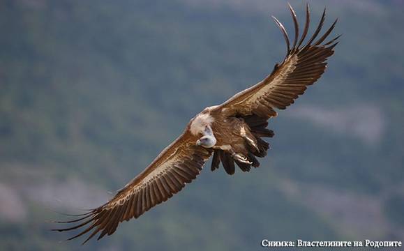 „Властелините на Родопите“ долитат в Бургас