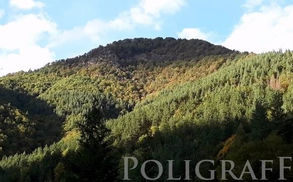 Повече от 2 300 горски с денонощни дежурства заради риска от пожари