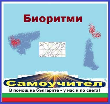 Биоритми при мозъчните вълни