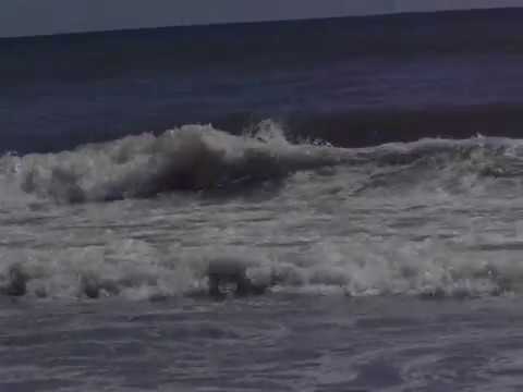 МЪРТВО ВЪЛНЕНИЕ НА КАМЧИЯ РАЗЛИЧНИТЕ НОВИНИ-DIFFERENT NEWS