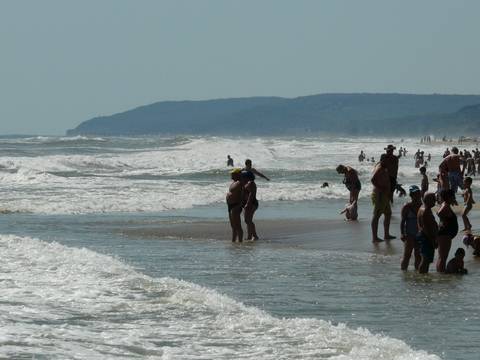 МЪРТВО ВЪЛНЕНИЕ НА КАМЧИЯ РАЗЛИЧНИТЕ НОВИНИ DIFFERENT NEWS