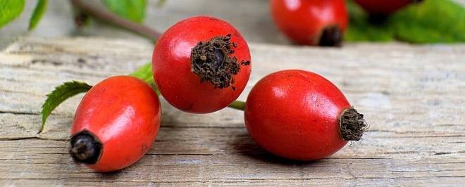 Шипка – Царицата на билките