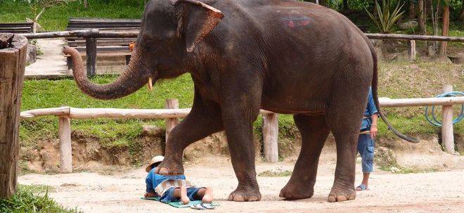 Най-странните масажи в света (част 1)