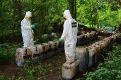 Мексиканските пехотинци заловиха рекордно количество наркотици