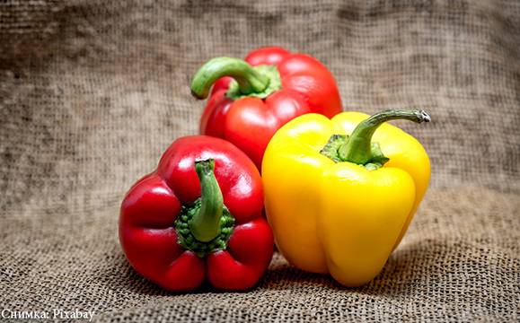 5-те суперхрани на септември