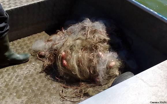 ИАРА изкара 1100 метра бракониерски мрежи от яз. Мандра