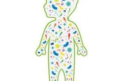 Инфографика – Важните моменти в развитието: запознаване с микробите