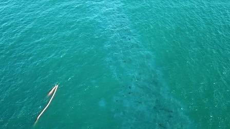 Започна подготовката за източването на мазута от „Мопанг“