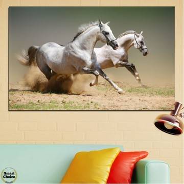 Картина пано за стена от 1 част с двойка препускащи коне – HD-650-1