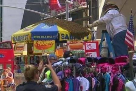 Пчели връхлетяха на „Таймс Скуеър“ в Ню Йорк (СНИМКИ)