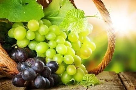 Българските лозари очакват критично ниски добиви на грозде