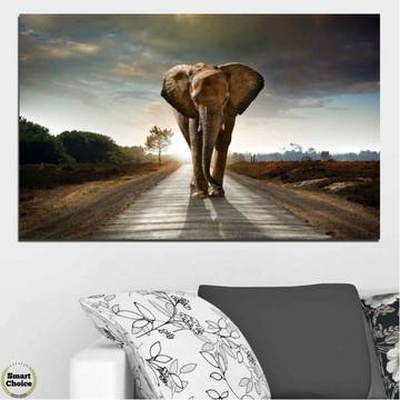 Картина пано за стена от 1 част с изображение на слон – HD-038-1