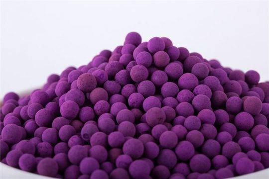 Това чудо лекува поне 15 болести, а струва само 15 стотинки!