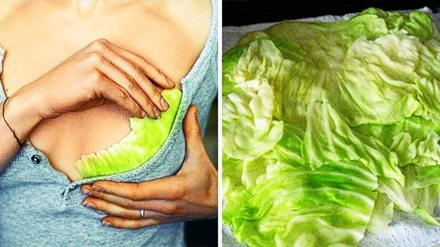 Листата на прясното зеле приличат на магнит, който изтегля болестите от човешкото тяло! Ето начини на използване!