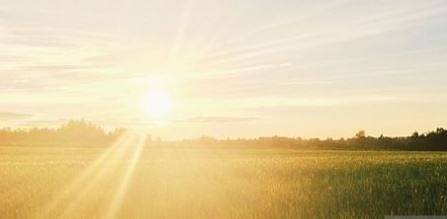 Днес слънчево с максимални температури между 29° и 34°. В Западна България ще превали
