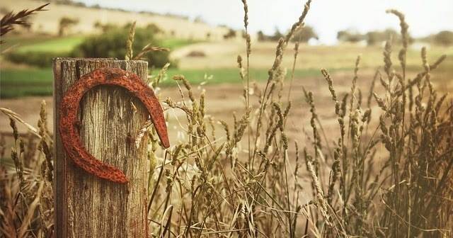Талисмани и амулети