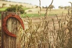 Талисмани и амулети