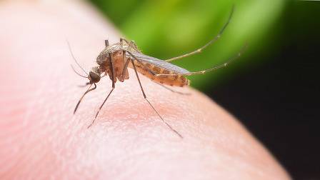 Пациентът със западнонилска треска вероятно ще бъде изписан следващата седмица