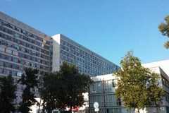 Първи случай на западнонилска треска у нас, има ли риск