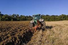 50 000 земеделски производители са укрили субсидии на обща стойност 120 млн. лева