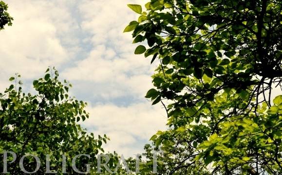 Значителна облачност и дъжд ни очакват днес