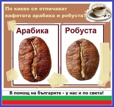 По какво се отличават кафетата арабика и робуста?