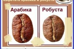 По какво се отличават кафетата арабика и робуста?