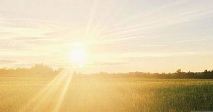 Днес слънчево с максимални температури между 25° и 30°. След обяд на места ще превали