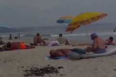 НА КРАНЕВО НА МОРЕ РАЗЛИЧНИТЕ НОВИНИ-DIFFERENT NEWS