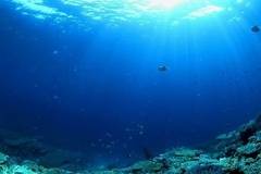 Тестват нова технология за почистване на пластмасови отпадъци в Тихия океан