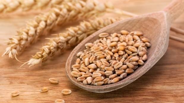 Чай от жито