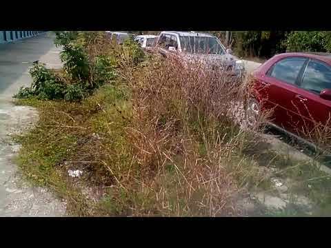 КАК ИЗЧЕЗНА ТРОТОАР ВЪВ ВАРНА РАЗЛИЧНИТЕ НОВИНИ DIFFERENT NEWS