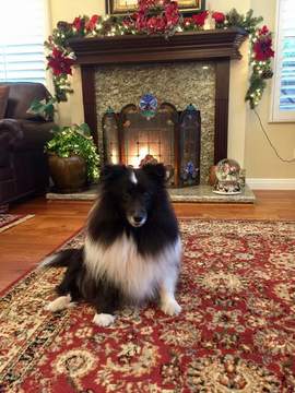 Помните ли бившата жена на Бойко Борисов? Вижте как изглежда тя днес и как живее (снимки)