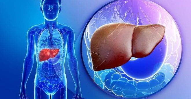 8 признака, че черният ви дроб не работи добре! Вижте ги!
