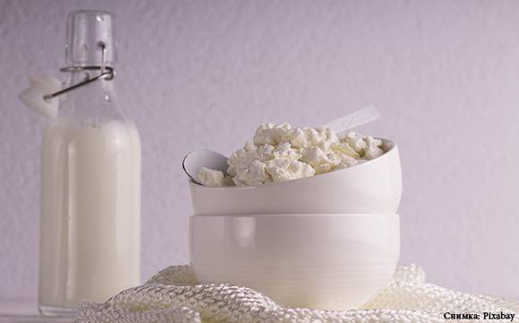 Канадски учени: Консумацията на мляко и млечни продукти удължава живота