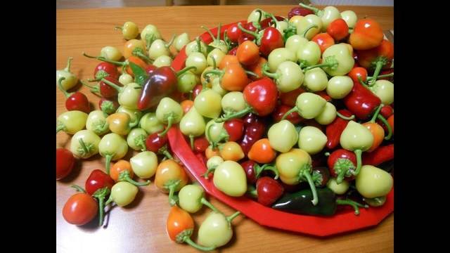 Хрупкави люти чушлета