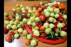 Хрупкави люти чушлета