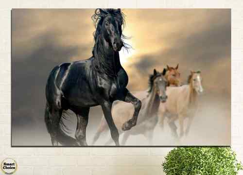 Картина пано за стена от 1 част с изображение на диви коне – HD-369-1