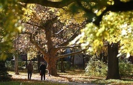 Днес слънчево с максимални температури между 24° и 29°