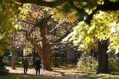 Днес слънчево с максимални температури между 24° и 29°