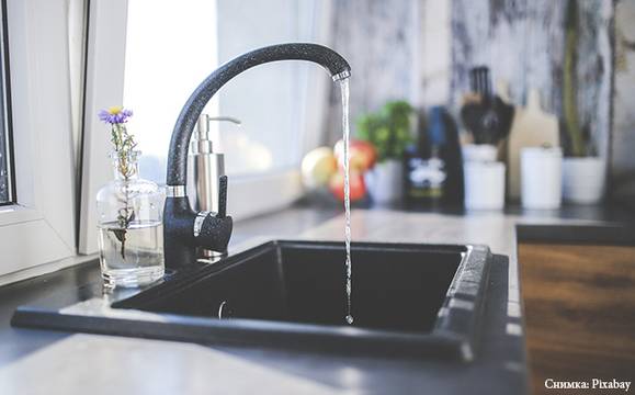 4 лесни трика за борба с насекомите у дома