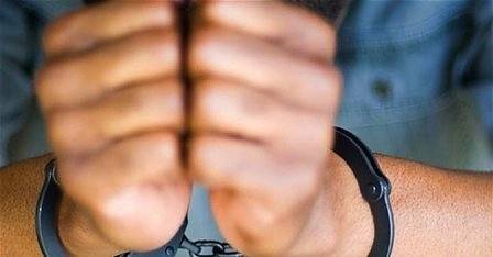 Задържаха престъпна група за незаконен добив на дървен материал