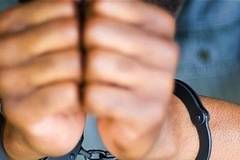Задържаха престъпна група за незаконен добив на дървен материал