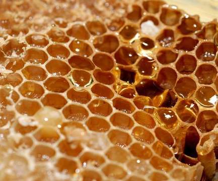 Медът пази зъбите от кариеси