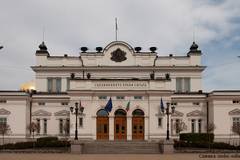 Протестиращите майки на деца с увреждания канят депутатите на разговор