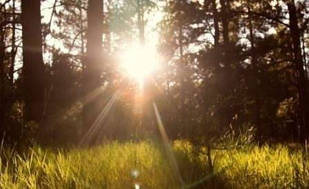 Днес слънчево с максимални температури между 26° и 31°