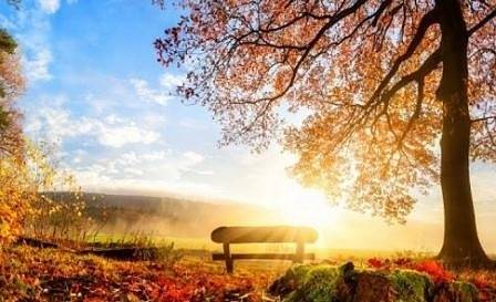 Днес е есенното равноденствие. Може да привлечете богатство и късмет!